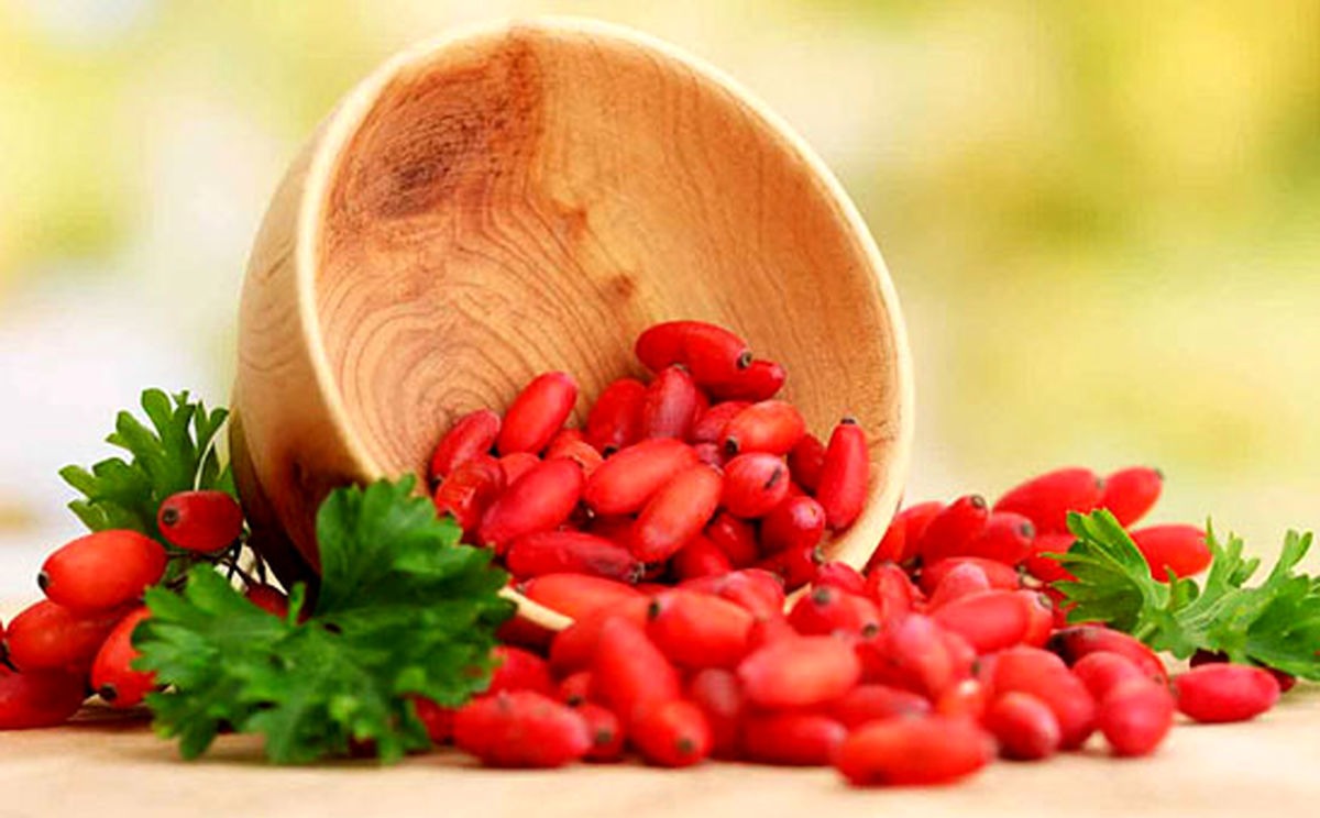 نگهداری زرشک در خانه